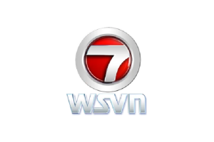 WSVN